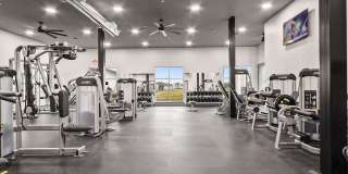 315 Sandstone #206 Gallery 6