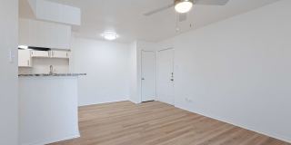 The Ryan Gallery 21