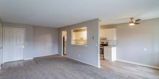 SpringBrook Gallery 13