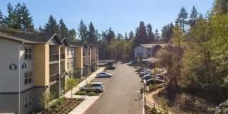 Alder Walk Gallery 3