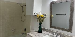 505 Buttercup Gallery 14