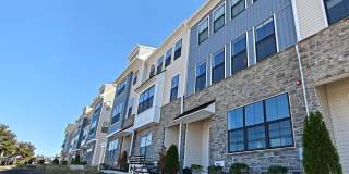 302 STAR TAVERN Lane Gallery 1