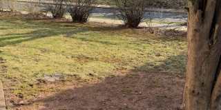 332 N 4th Avenue N unit: 2 Gallery 14