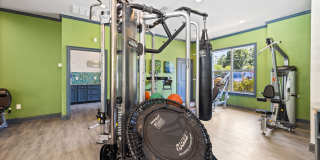 Olympus Fenwick Gallery 29