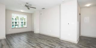 RIZE at Winter Springs Gallery 72