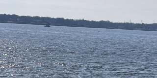 5 Carlton Avenue Gallery 29