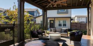 Collection at Gruene Gallery 38