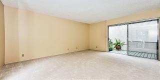 4120 Dover Rd. Gallery 14