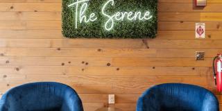 The Serene Gallery 11