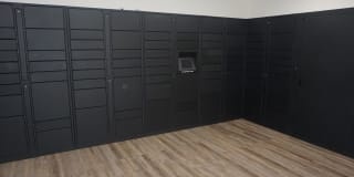 Royal Palms Gallery 21