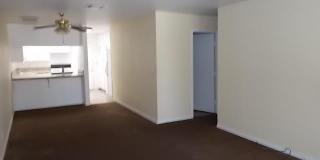 9774 Palm Drive Gallery 4