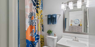 Aventura Bellevue Gallery 31