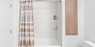 Orlo & Alba Gallery 55