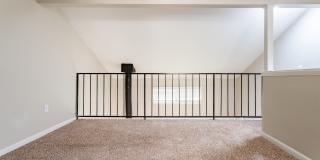 Rosen at North Hills Gallery 20