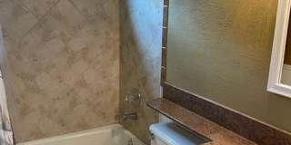 7102 Pine Bluffs Trl Gallery 11