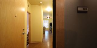 Settlement Place Gallery 250