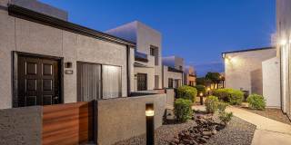 Lion Tempe Gallery 38