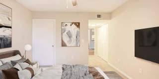 Coconut Palm Club Gallery 58