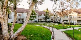 Legends of Rancho Belago Gallery 14