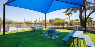 Icon on Stella Gallery 21