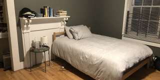 1005 Hampton Street Gallery 18