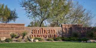 40309 N BELL MEADOW Trail Gallery 45