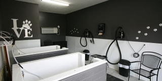 Hayden Lofts Gallery 22