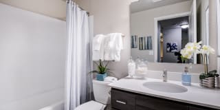 Knol Apartments Gallery 5