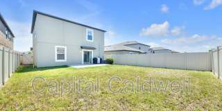 9434 Lemon Drop Loop Gallery 42