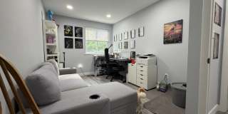 9144 Ellie Dr Gallery 31