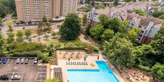 Newly Remodeled 1 bedroom / 1.5 bath Condo at Place One Gallery 23