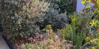 Fully Furnished Tranquil Downtown Home - Available Now! Fully Furnished Tranquil Downtown Home - Available Now! Gallery 22