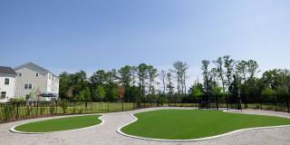 Reve on the Creek Gallery 18