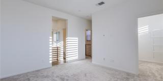 11649 Stone Curlew Avenue Gallery 22
