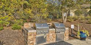 Lullwater at Saluda Pointe Gallery 43