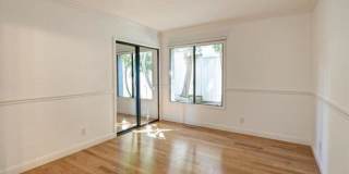 1305 Via Romero Gallery 15