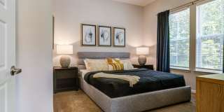 Century University City Gallery 26