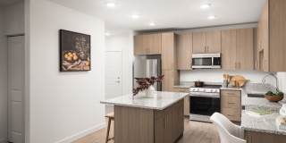 The Meadows Gallery 3