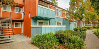 Peppertree Apartments Gallery 2