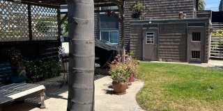 Sea Chase (Acacia Avenue) Gallery 16