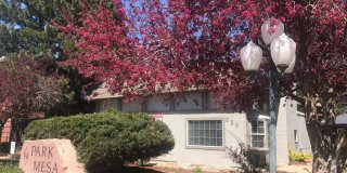 Park Mesa Gallery 209