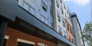 Walnut View Gallery 9