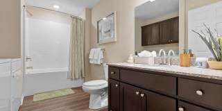 Redwood DeWitt Gallery 17