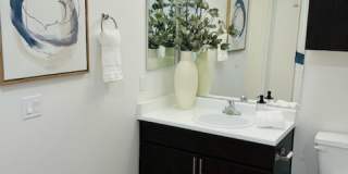 Elevation Luxury Apartments Gallery 6