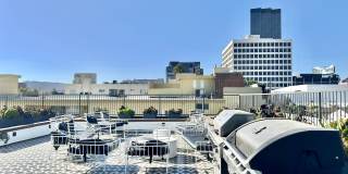 Barry Diamond Gallery 5