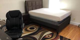 Beautiful 4 bed in Oak Sqaure Gallery 17