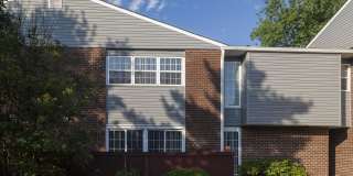 Regency Woods Gallery 15