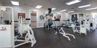 Victoria Place Gallery 88