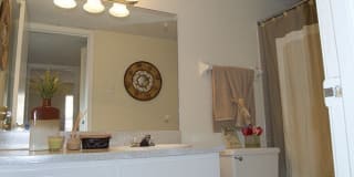 Cambridge Gallery 16