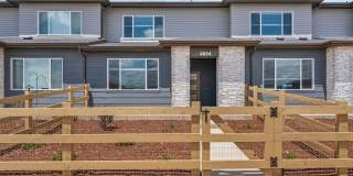 Brand New 3 Bed Townhome in Timnath Ranch Gallery 3